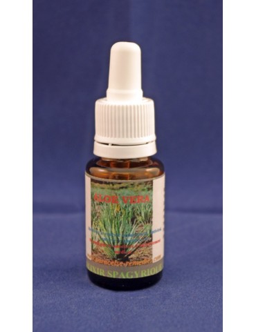 Aloe Vera
